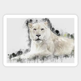 Lioness Lion Animal Wild Africa Jungle Safari Wildlife Magnet